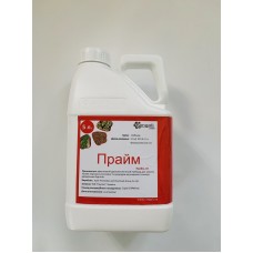 ПРАЙМ